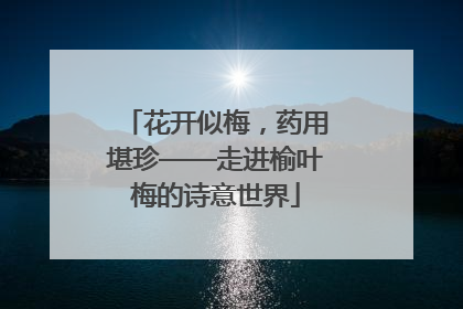 花开似梅，药用堪珍——走进榆叶梅的诗意世界