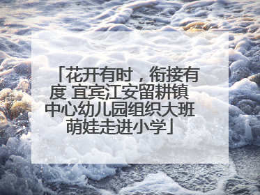 花开有时，衔接有度 宜宾江安留耕镇中心幼儿园组织大班萌娃走进小学