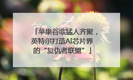 苹果谷歌猛人齐聚，英特尔打造AI芯片界的“复仇者联盟”