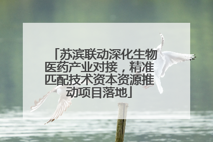 苏滨联动深化生物医药产业对接，精准匹配技术资本资源推动项目落地