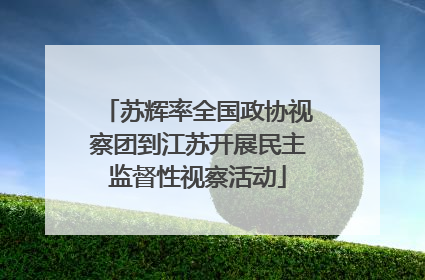 苏辉率全国政协视察团到江苏开展民主监督性视察活动