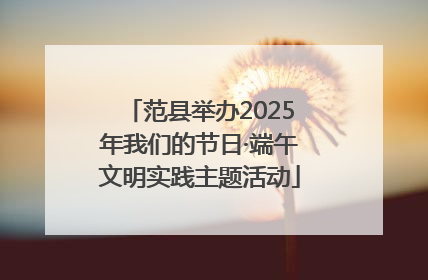 范县举办2025年我们的节日·端午文明实践主题活动