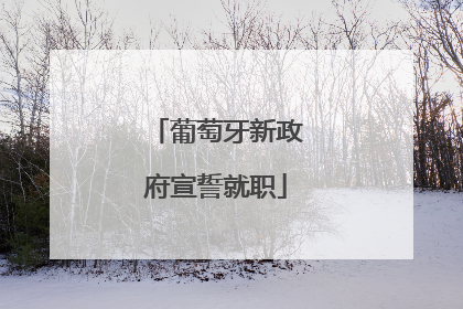 葡萄牙新政府宣誓就职