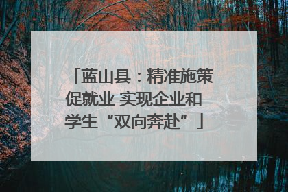 蓝山县：精准施策促就业 实现企业和学生“双向奔赴”