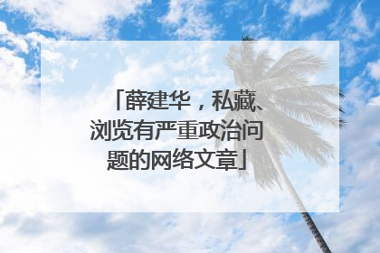 薛建华，私藏、浏览有严重政治问题的网络文章