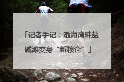 记者手记：渤海湾畔盐碱滩变身“新粮仓”