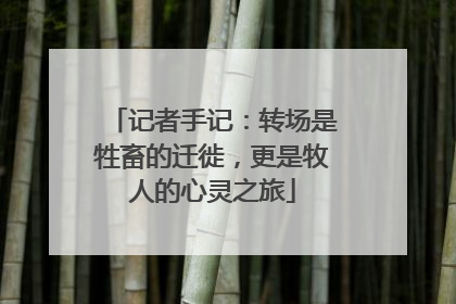 记者手记：转场是牲畜的迁徙，更是牧人的心灵之旅