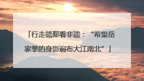 行走赣鄱看非遗：“希望岳家拳的身影遍布大江南北”