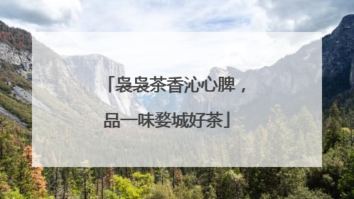 袅袅茶香沁心脾，品一味婺城好茶