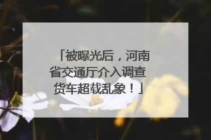 被曝光后，河南省交通厅介入调查货车超载乱象！
