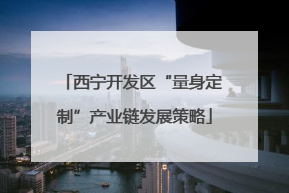 西宁开发区“量身定制”产业链发展策略