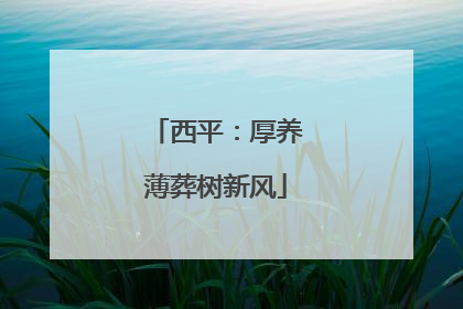 西平：厚养薄葬树新风