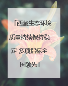 西藏生态环境质量持续保持稳定 多项指标全国领先
