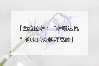 西藏拉萨：“萨嘎达瓦”迎来信众朝拜高峰