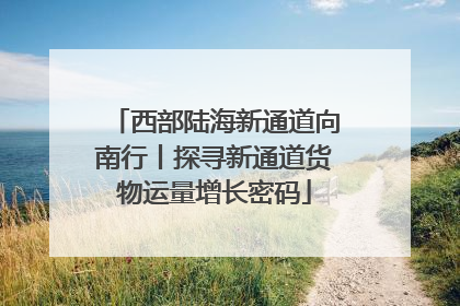 西部陆海新通道向南行丨探寻新通道货物运量增长密码