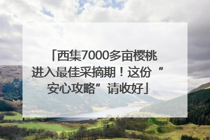 西集7000多亩樱桃进入最佳采摘期！这份“安心攻略”请收好