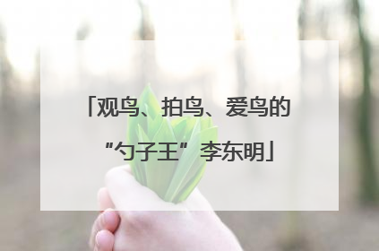 观鸟、拍鸟、爱鸟的“勺子王”李东明