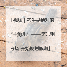 视频｜考生是绝对的“主角儿”——笑告别考场 开始规划假期