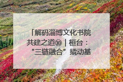 解码淄博文化书院共建之道⑩｜桓台：“三链融合”撬动基层文化共治新动能