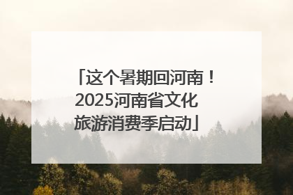 这个暑期回河南！2025河南省文化旅游消费季启动