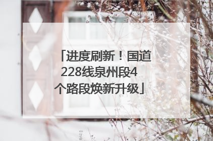 进度刷新！国道228线泉州段4个路段焕新升级