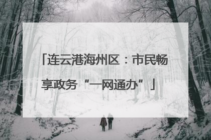 连云港海州区：市民畅享政务“一网通办”