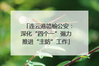 连云港赣榆公安：深化“四个一”强力推进“主防”工作