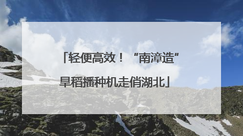 轻便高效！“南漳造”旱稻播种机走俏湖北