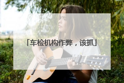 车检机构作弊，该抓
