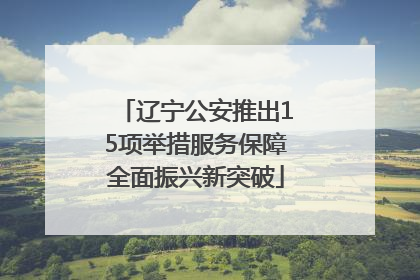 辽宁公安推出15项举措服务保障全面振兴新突破