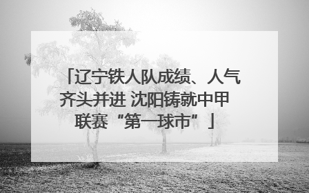 辽宁铁人队成绩、人气齐头并进 沈阳铸就中甲联赛“第一球市”