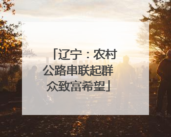 辽宁：农村公路串联起群众致富希望