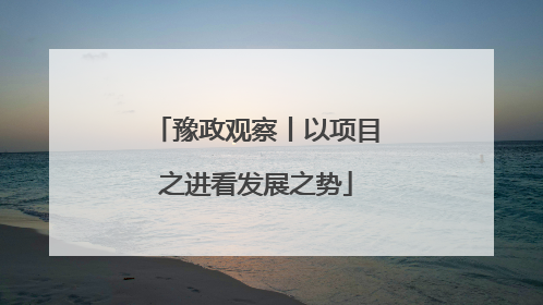 豫政观察丨以项目之进看发展之势