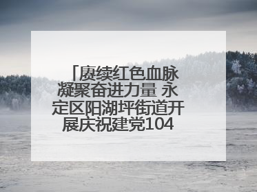 赓续红色血脉 凝聚奋进力量 永定区阳湖坪街道开展庆祝建党104周年系列活动