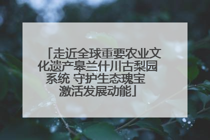 走近全球重要农业文化遗产皋兰什川古梨园系统 守护生态瑰宝 激活发展动能