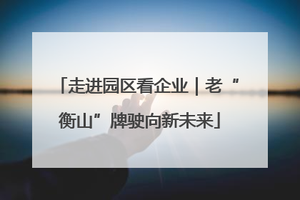 走进园区看企业｜老“衡山”牌驶向新未来