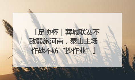 足协杯｜蓉城联赛不敌弱旅河南，泰山主场作战不妨“抄作业”