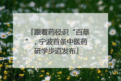 跟着药径识“百草”，宁波首条中医药研学步道发布