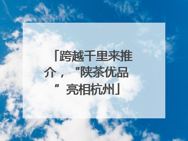 跨越千里来推介，“陕茶优品”亮相杭州