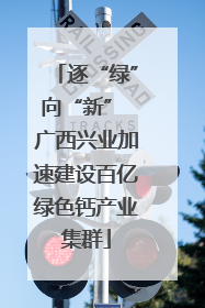 逐“绿”向“新” 广西兴业加速建设百亿绿色钙产业集群