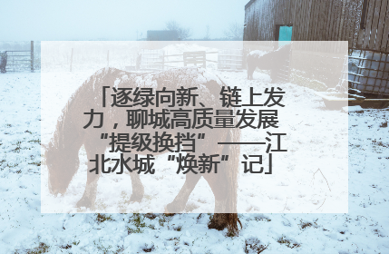 逐绿向新、链上发力，聊城高质量发展“提级换挡”——江北水城“焕新”记