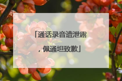 通话录音遭泄露，佩通坦致歉
