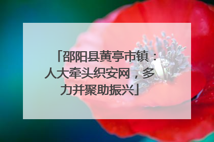 邵阳县黄亭市镇：人大牵头织安网，多力并聚助振兴