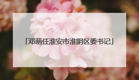 邓萌任淮安市淮阴区委书记