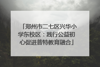 郑州市二七区兴华小学东校区：践行公益初心促进普特教育融合