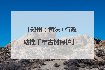 郑州：司法+行政助推千年古树保护