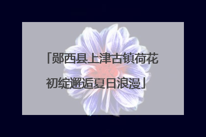 郧西县上津古镇荷花初绽邂逅夏日浪漫