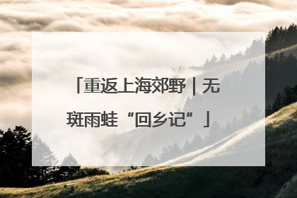 重返上海郊野｜无斑雨蛙“回乡记”