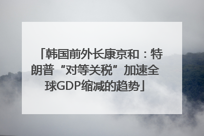 韩国前外长康京和：特朗普“对等关税”加速全球GDP缩减的趋势