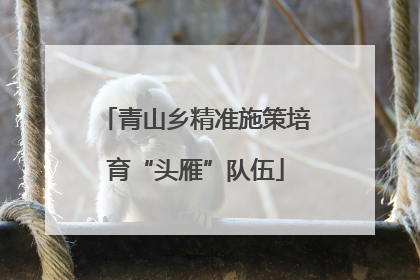青山乡精准施策培育“头雁”队伍
